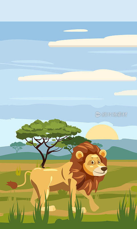狮子背景的非洲景观，草原，卡通风格，矢量插图