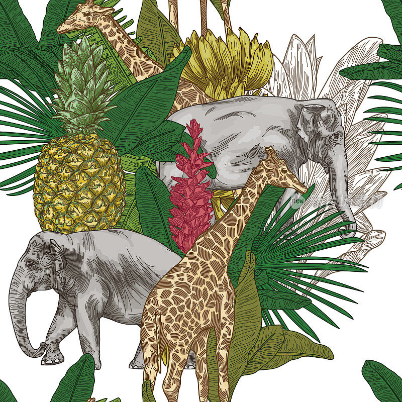 热带动物Safari无缝模式背景
