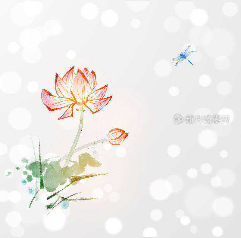 在白炽的背景上用墨水手绘莲花和蜻蜓。传统东方水墨画梅花、梅花、梅花。