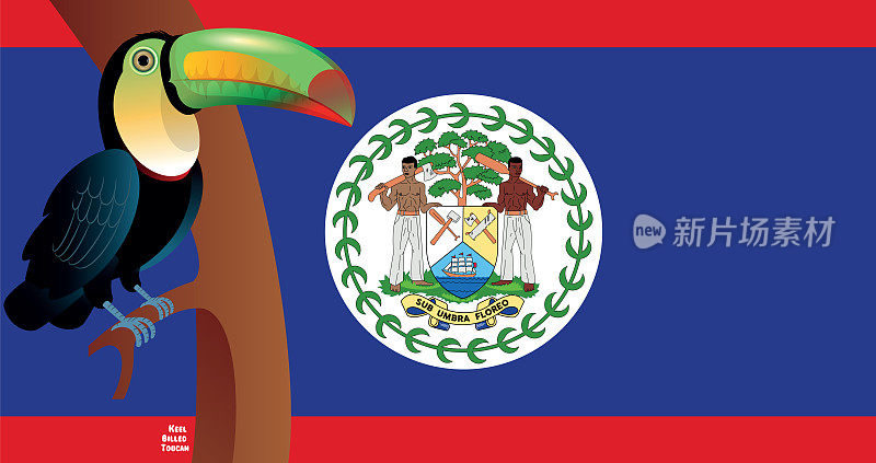伯利兹国旗和龙嘴巨嘴鸟