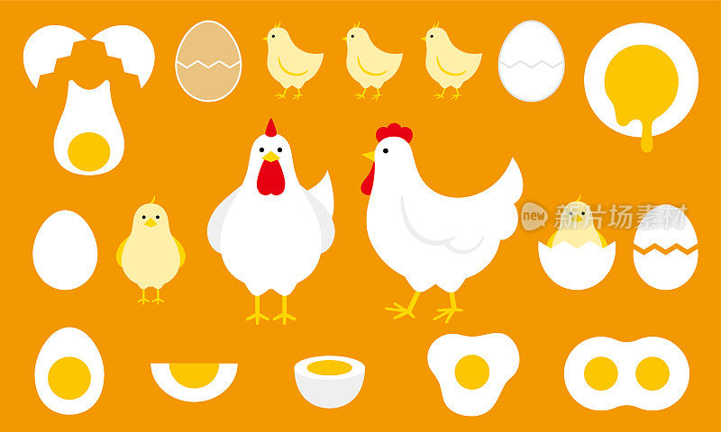 鸡和蛋的剪贴画
