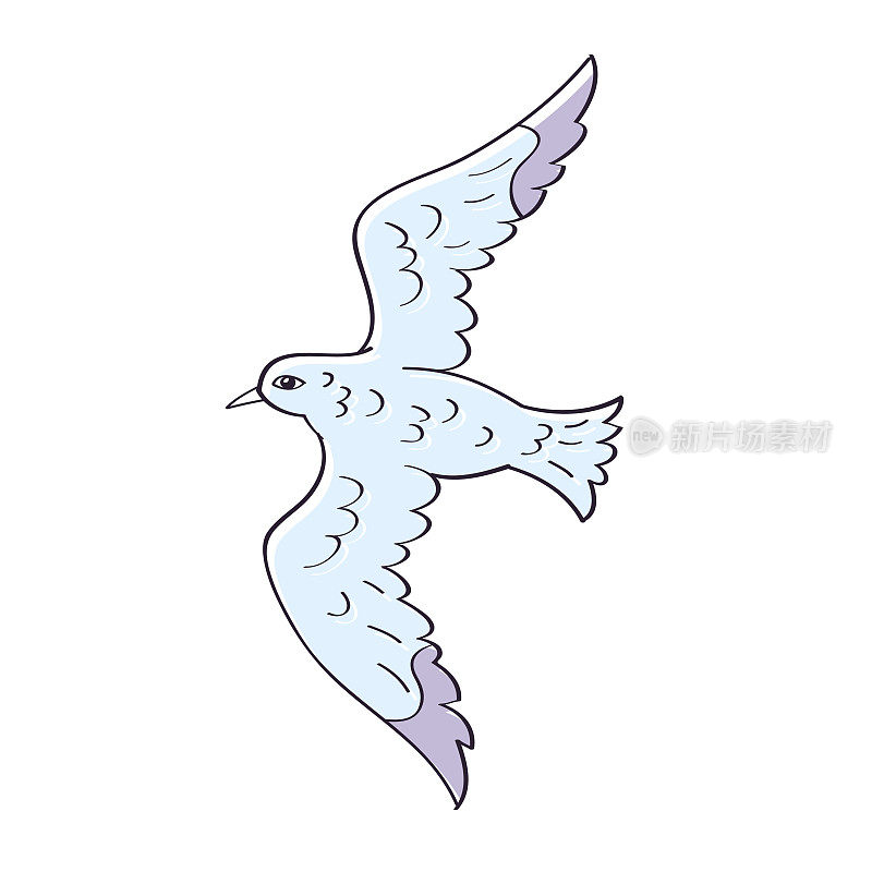 海鸥飞翔的鸟