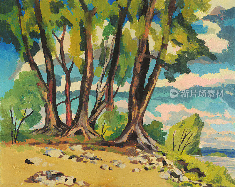 夏天的风景。河岸上有树。油画