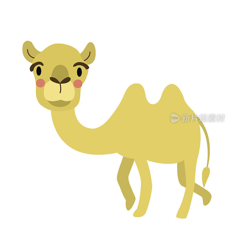 骆驼动物卡通人物矢量插图。