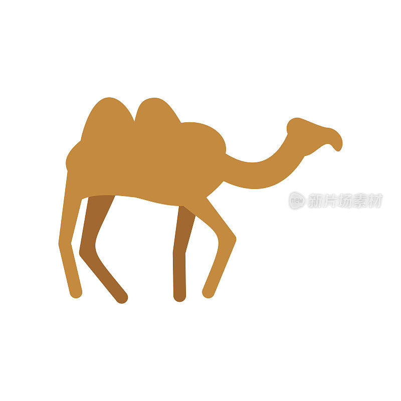 骆驼孤立。沙漠动物的白色背景