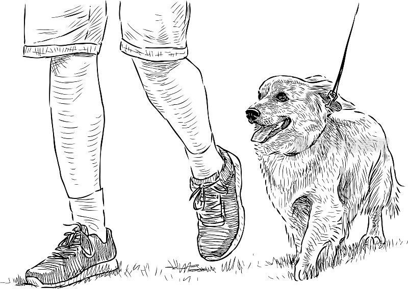 这是一只长毛腊肠犬和她的主人一起散步的写意画