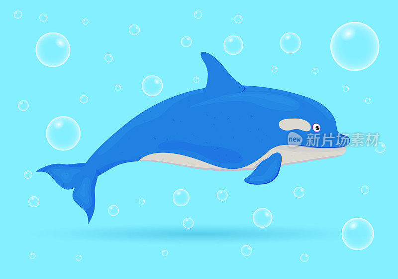 海豚在蓝色背景和气泡。海洋鱼类。水下海洋野生生物。矢量插图。