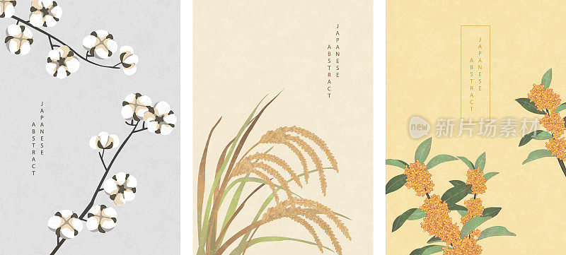 东方日式抽象图案背景设计自然植物棉穗水稻和桂花
