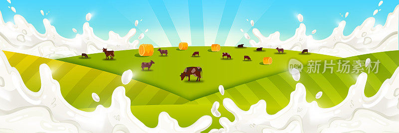 牛奶农场景观放牧的牲畜，绿色的田野，干草堆，蓝天，阳光。