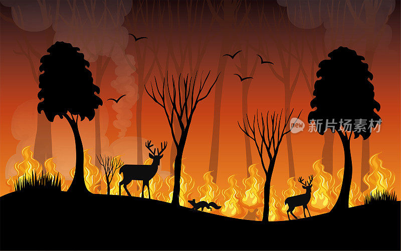 火夜和野生动物剪影向量。平面矢量插图的危险森林火灾山区。火焰和燃烧树木的概念。人类点燃的火焰。动物的生命受到威胁。