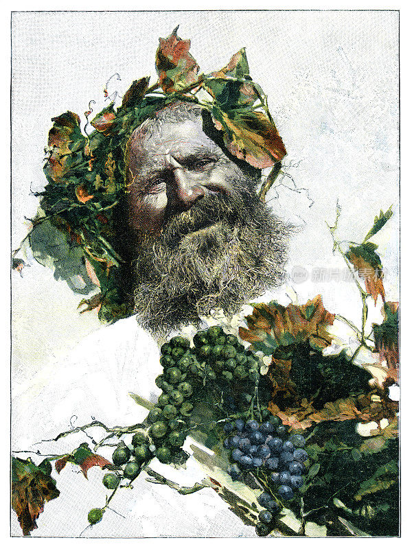 希腊神狄俄尼索斯在葡萄园收获葡萄1896
