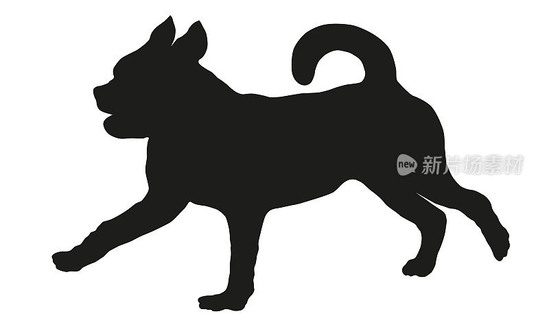 奔跑的小布拉班肯小狗。黑狗轮廓。宠物的动物。孤立在白色背景上。