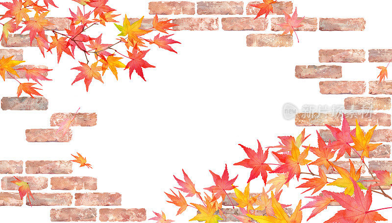 以天然砖墙为背景的彩色枫树水彩插图。秋季植物装饰框架。背景,壁纸。