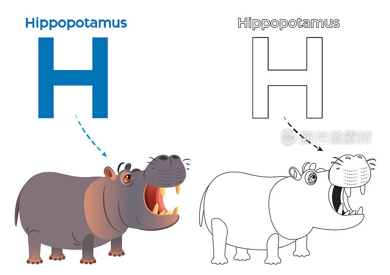 河马着色页和字母