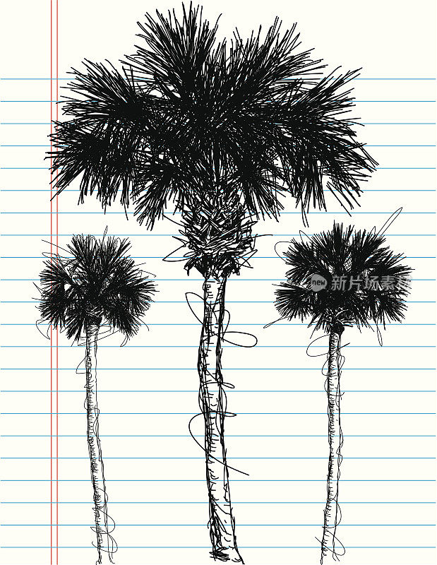 棕榈树草图