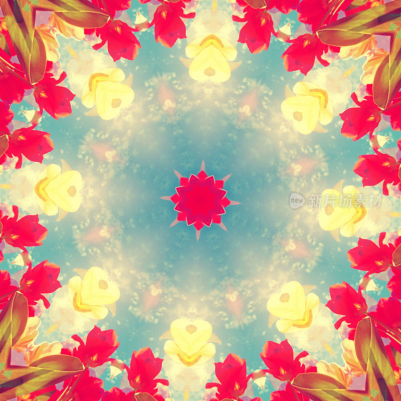 色彩斑斓的花坛:天空背景上的花的万花筒