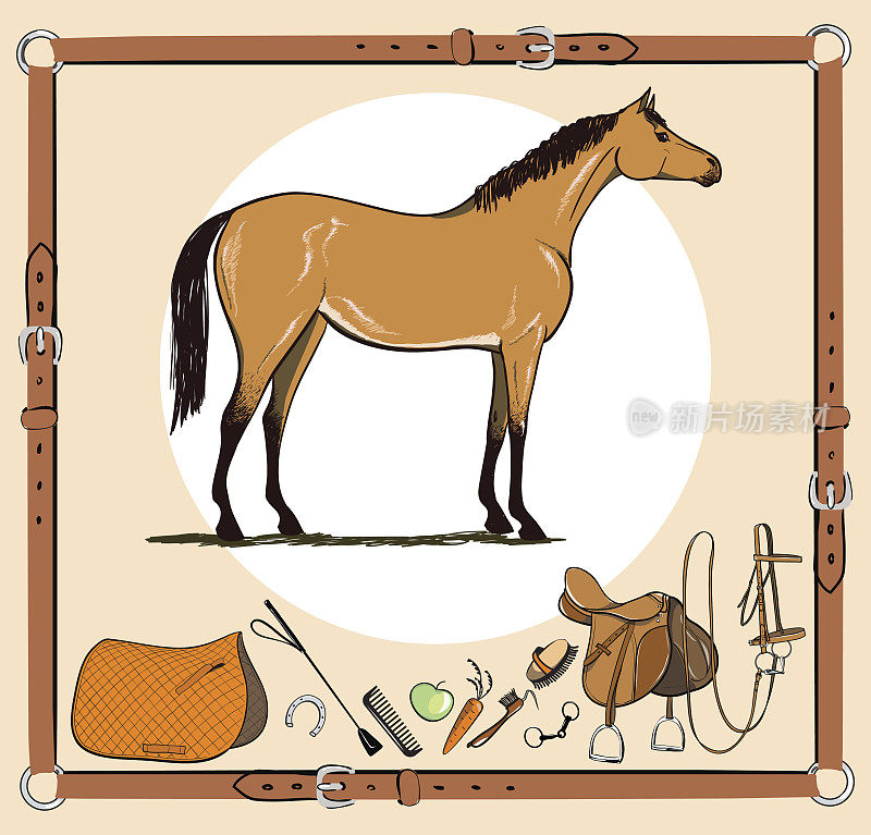 皮带框架中的马和马具。马笼头、马鞍、马镫、马刷、马齿、马具、马具用品、马鞭。