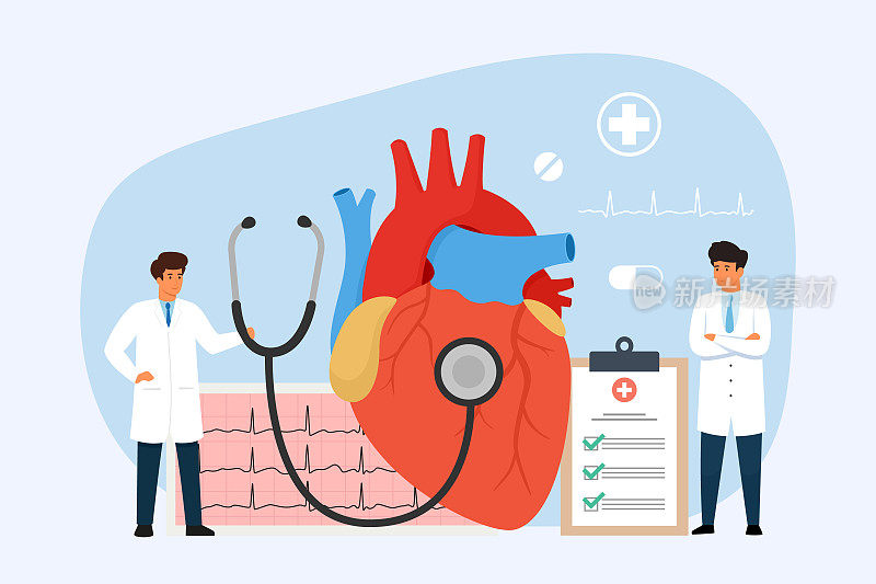 医生研究人类心脏。心脏病学的概念。人体内部器官治疗和诊断。