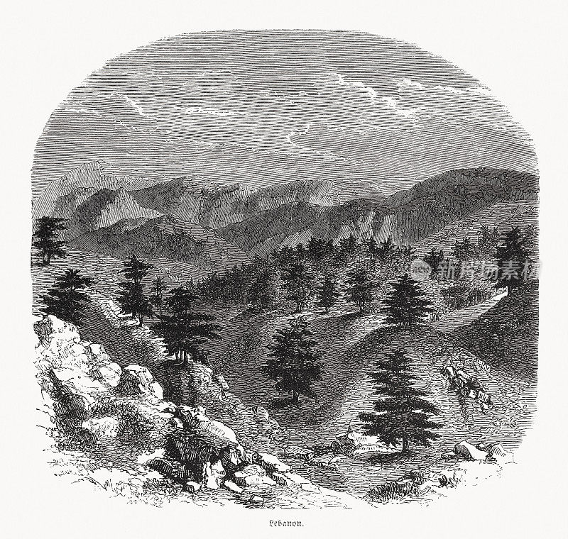 黎巴嫩山景与雪松，木版画，1862年出版