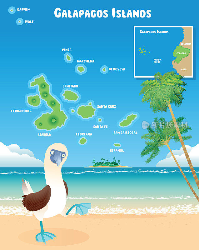加拉帕戈斯群岛和蓝脚鲣鸟
