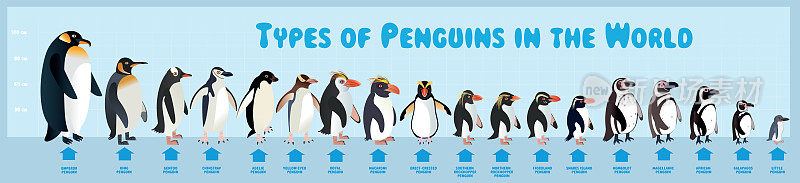 世界上企鹅的类型