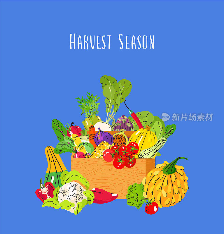 收获季节秋季矢量卡蔬菜在蓝色的背景。收获节海报，秋季背景设计。感恩节的插图
