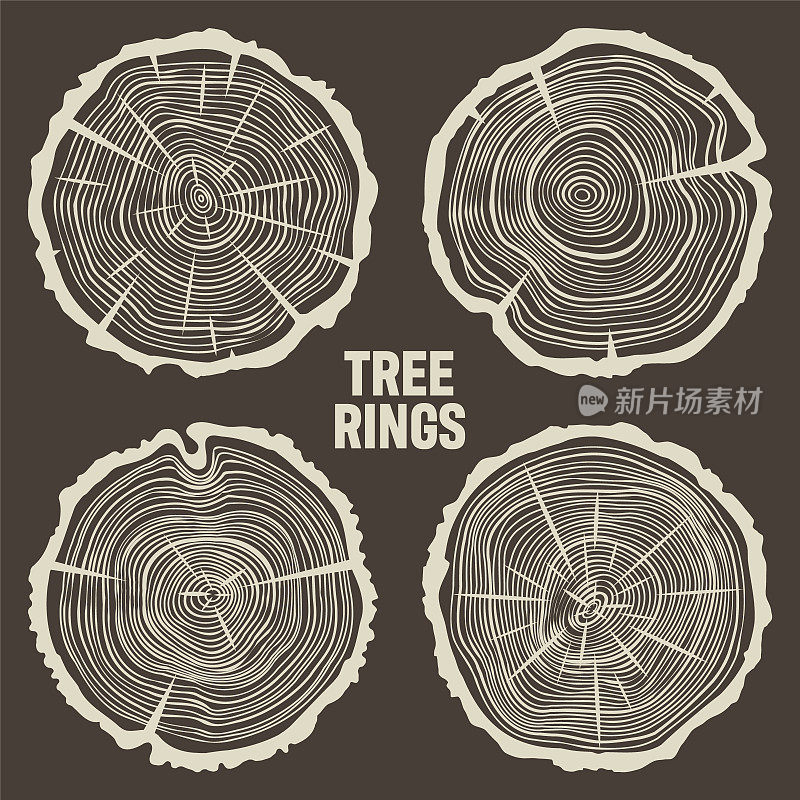 带裂缝的圆树干，锯松或橡木片，木材。锯子砍木头，木头。棕色木质纹理，带有树的年轮。手绘草图。矢量图