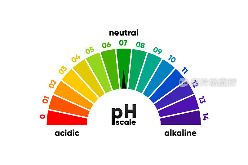 酸性和碱性溶液的PH刻度计。酸碱平衡量表。化学测试。矢量插图。