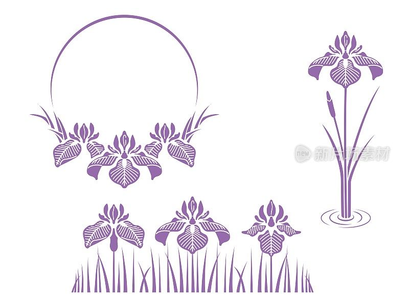 鸢尾插图及设计套装(紫色)