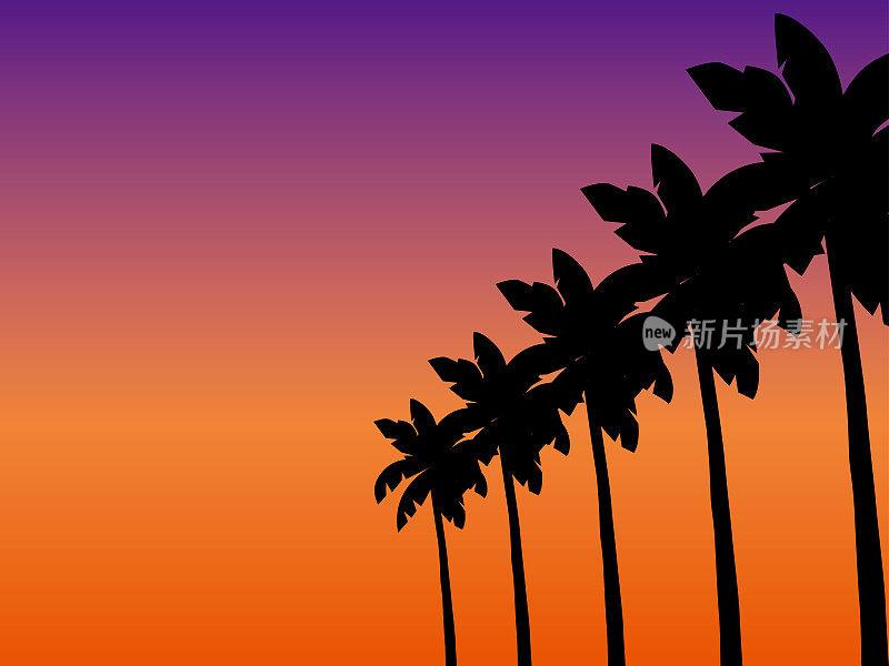 棕榈树黄昏B3-5