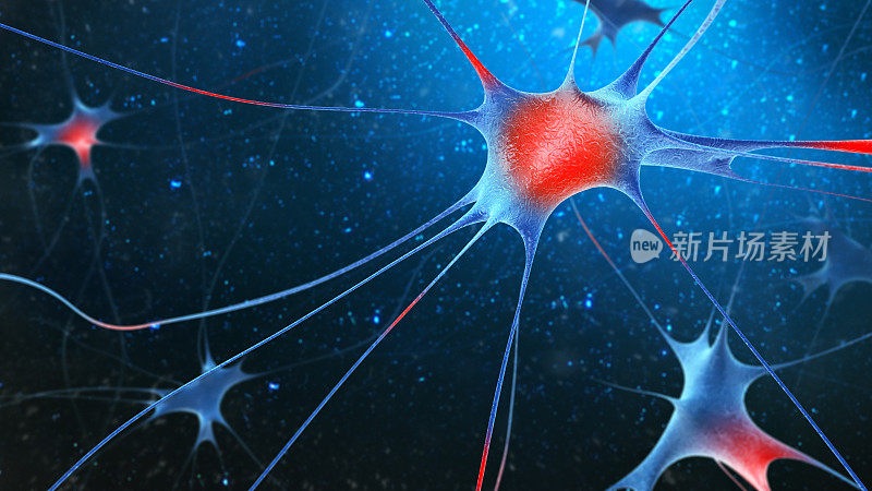 神经细胞的3d渲染。