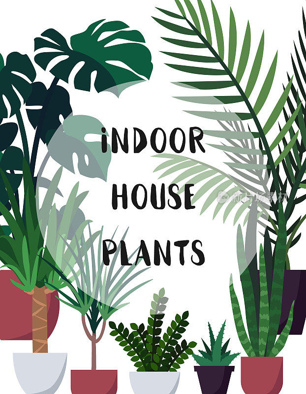 矢量插图与室内室内植物。海报，封面，模板设计与各种观赏室内植物盆栽与文字空间