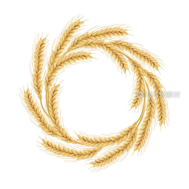 小麦做的花环。概念有机产品标签，收获和本地农业，谷物，烘焙。