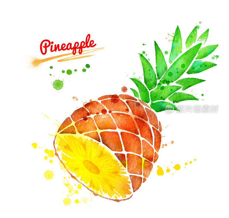 一半菠萝的水彩插图