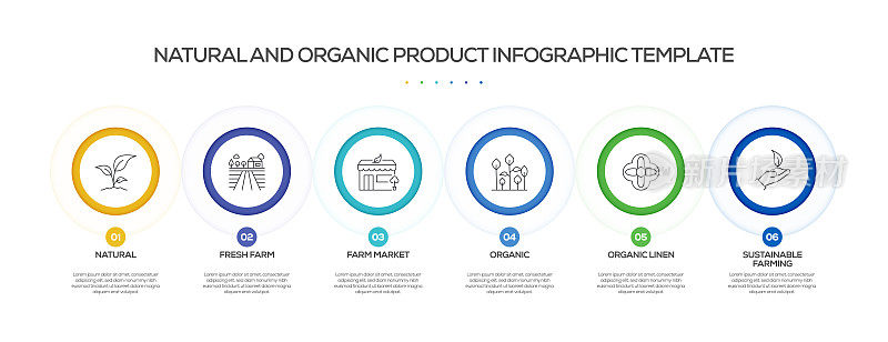 自然和有机相关过程信息图表模板。过程时间图。带有线性图标的工作流布局