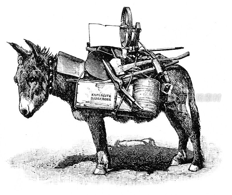 羊驼雕刻1867