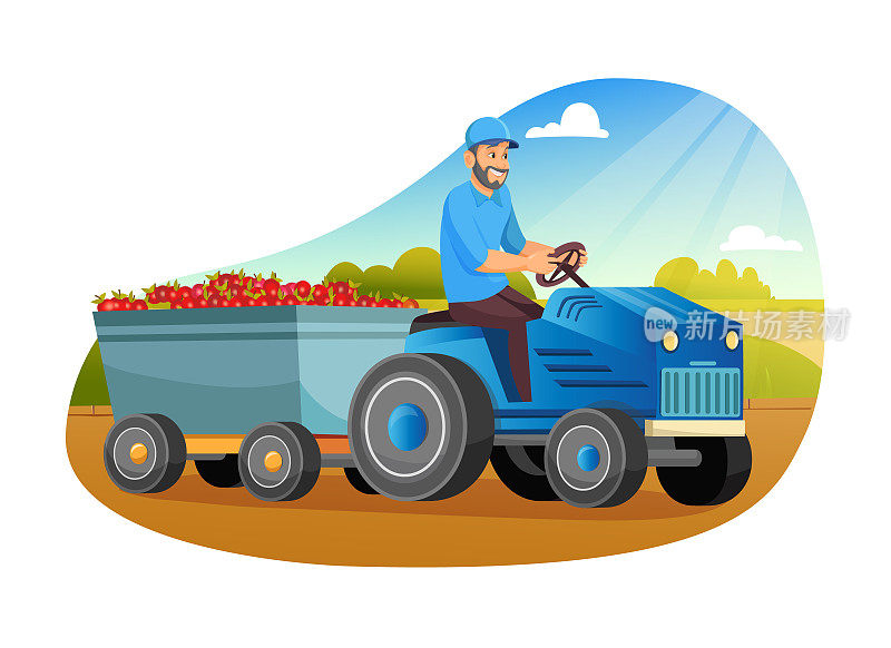 农民在拖拉机上装载苹果。本地农场种植的有机食品，环保的季节性产品。