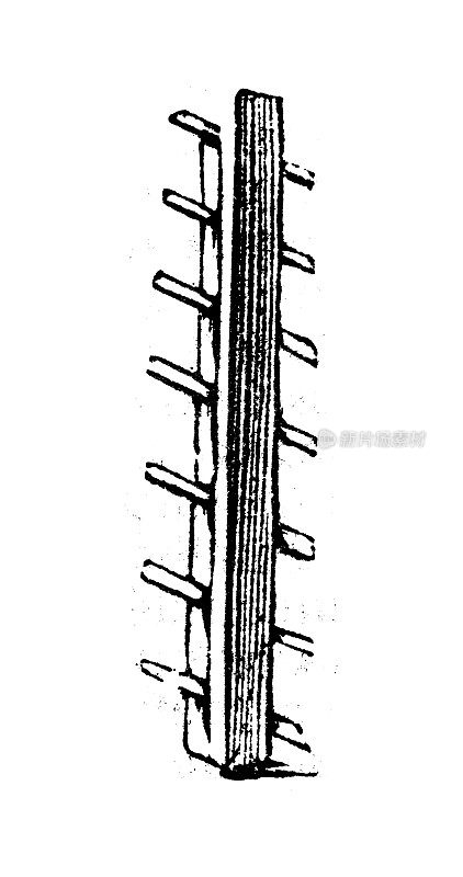 古玩雕刻插画:钉梯、架梯