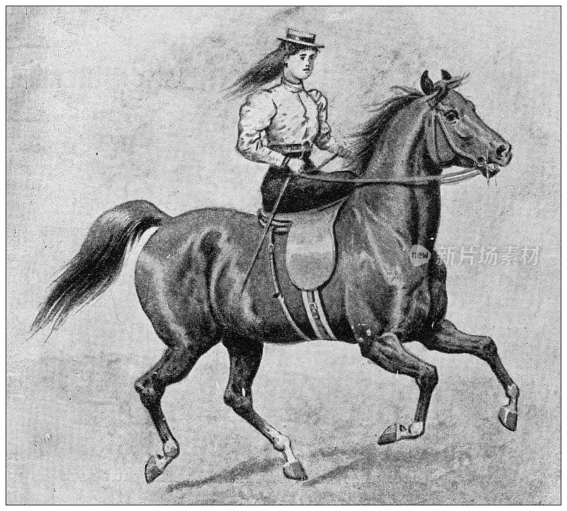 来自英国杂志的古董图片:骑马的女人