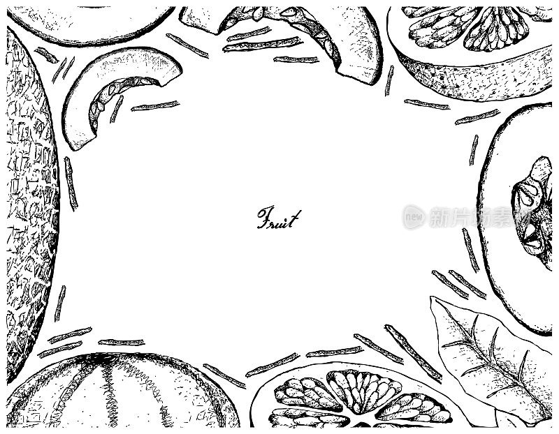 哈密瓜和葡萄柚手绘框架