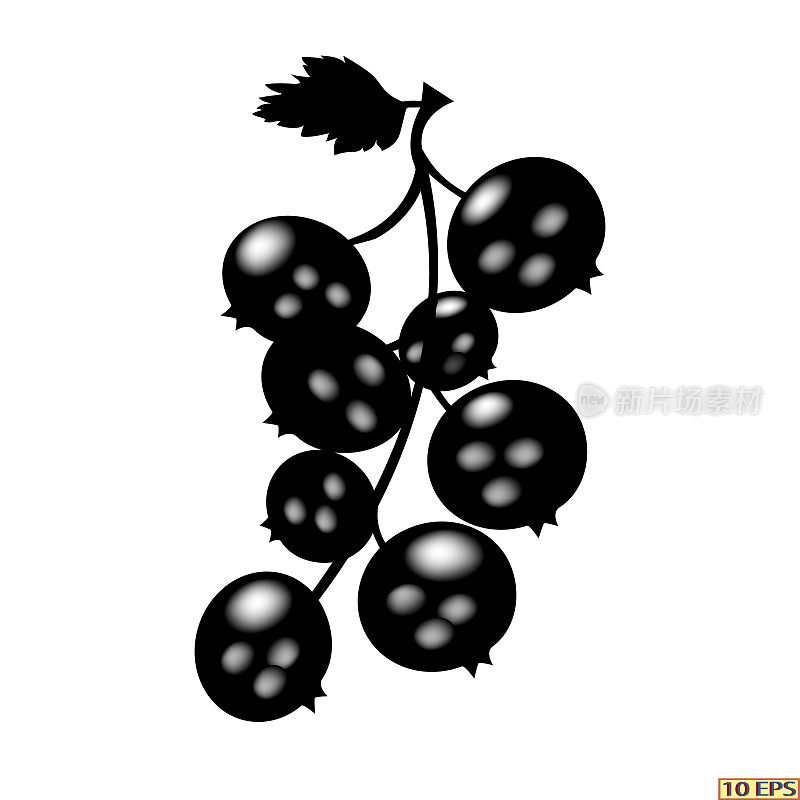 红醋栗。浆果黑色图标。白色背景上孤立的黑色浆果的图标。黑加仑子特写镜头。矢量插图将装饰你的网站设计。