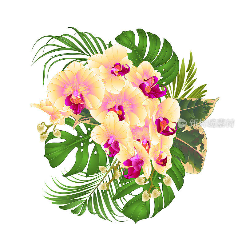 花束与热带花卉的插花，与美丽的黄兰花，棕榈树，philodendron和榕树复古矢量插图编辑