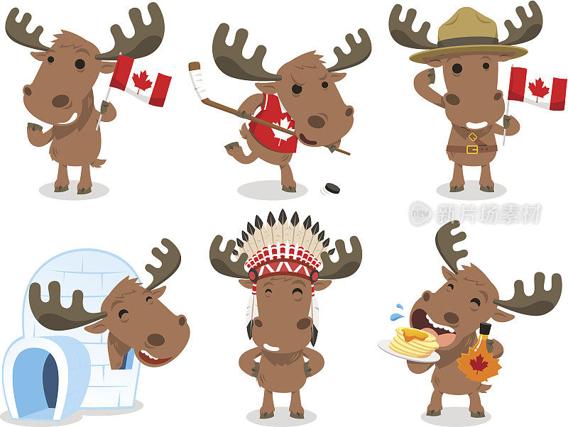 加拿大驼鹿加拿大哺乳动物物种标志文化