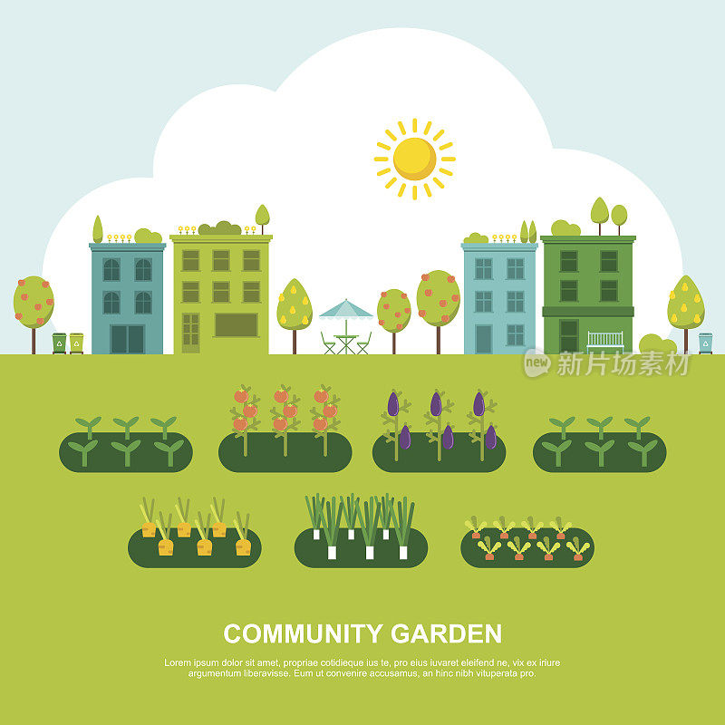 社区水果和蔬菜花园