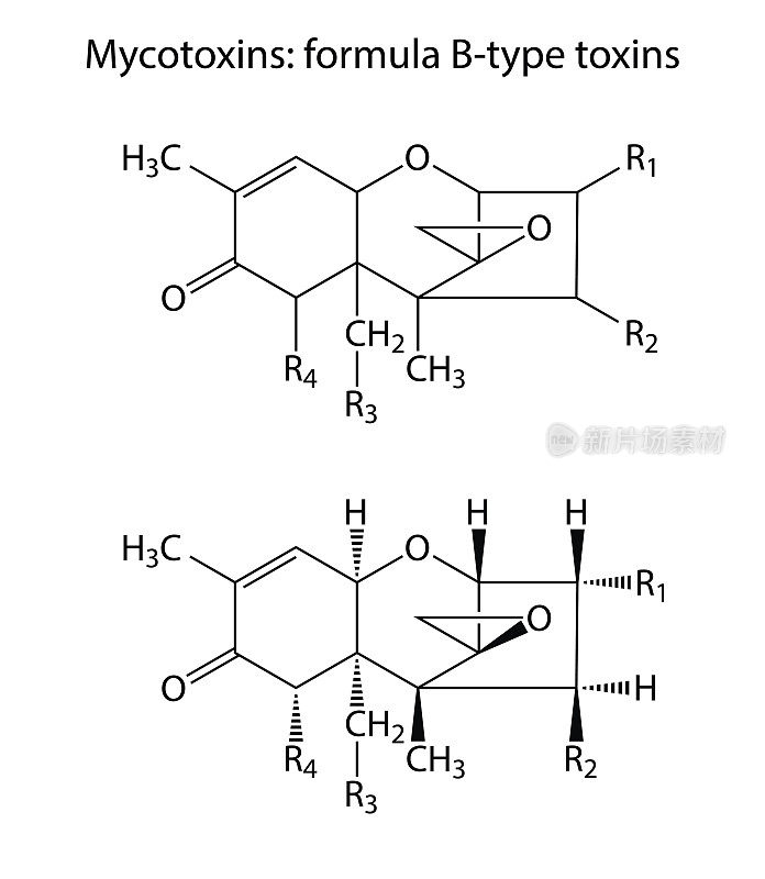 霉菌毒素一般结构化学配方(b型)