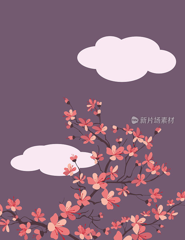 樱花的背景