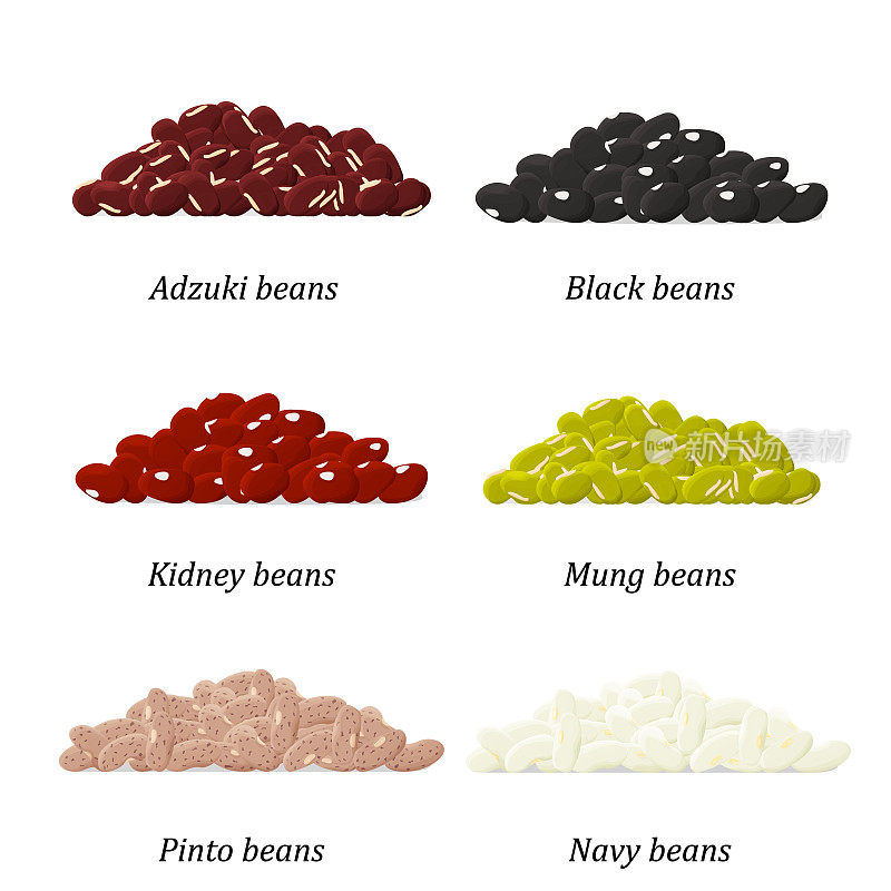 Bean类型集。小豆，黑豆，芸豆，绿豆，花豆和菜豆。向量。