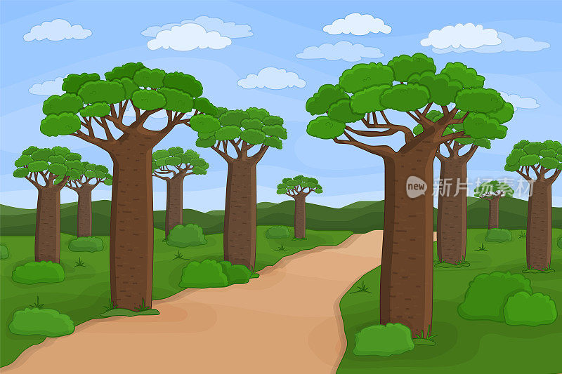 矢量轮廓非洲马达加斯加猴面包树街。卡通手绘景观插图的树木，天空，道路，非洲植物，灌木，云彩，草