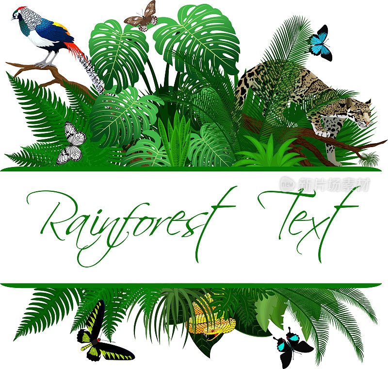 热带雨林夏季热带树叶野生动物矢量设计与云豹，钻石野鸡和蝴蝶