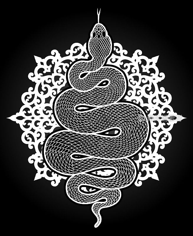 盘绕蛇的详细插图